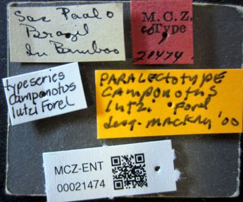 Media type: image;   Entomology 21474 Aspect: labels